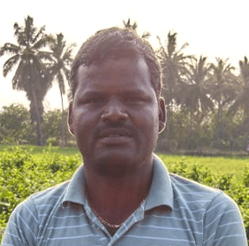 Increased flower boldness in Jasmine